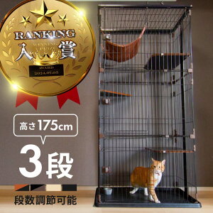 P[W L 3i LbgP[W  ؐt[ nbN Q[W ^  Xebv Lp h~  Eh~