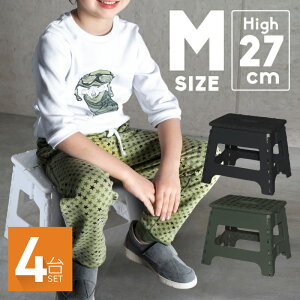 ݑ ܂肽 y Ch Xc[ Xebv ܂ l qǂ RpNg [ ֎q CX r  L  O AEghA Lv ω׏d150kg 4 ubN I[u 