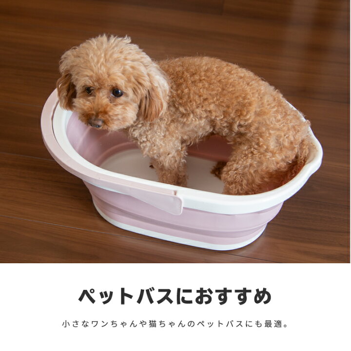 送料無料 バケツ たらい シリコン 洗濯 洗い桶 13l 折りたたみ キャンプ おしゃれ