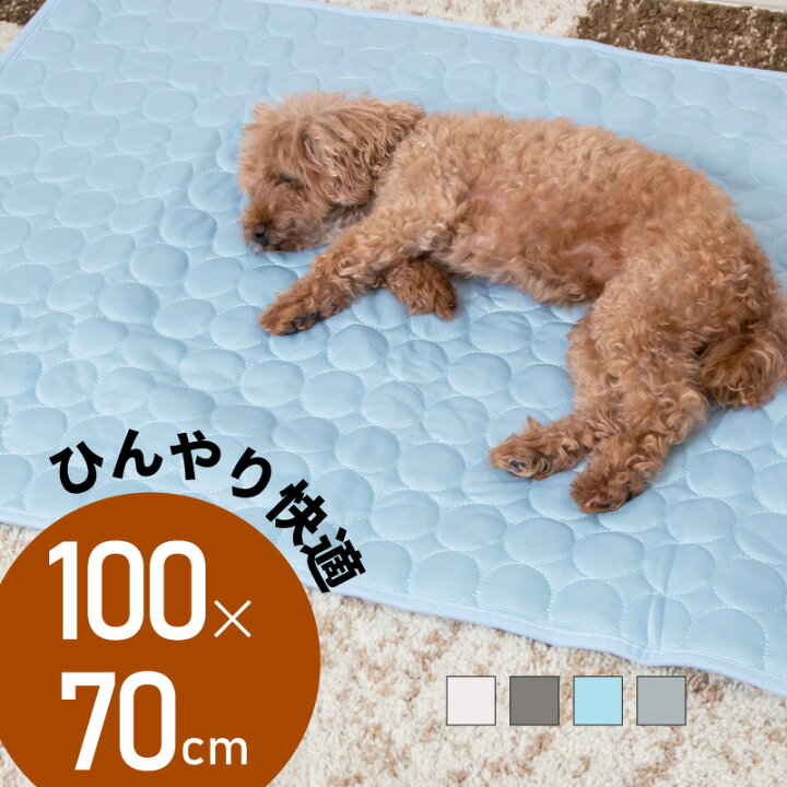 楽天市場 ひんやりマット 冷感敷きパッド Xlサイズ 犬 猫 冷感 ひんやり クール マット シート ラグ パッド シーツ 生地 犬用 小型犬 中型 犬 大型犬 猫用 洗える 清潔 丸洗い ペットマット 夏用 暑さ対策 熱中症対策 100cm 70cm 雑貨通販 Happy Space