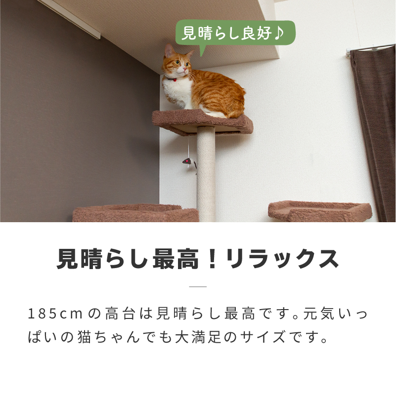 楽天市場】キャットタワー 据え置き 猫タワー 大型 おしゃれ 省
