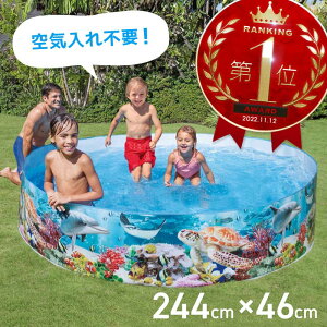v[ ^ Csv ȒP  INTEX CebNX ƒp 傫v[ ~` 244cm ƒpv[ rj[v[ xr[v[ | V   qp qǂ LbY j̎q ̎q 
