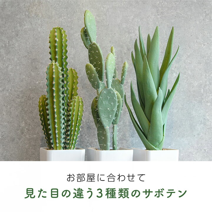 中古 フェイクグリーン 寄植え 高さ約43cm 人工観葉植物 卓上サイズ 小さめ