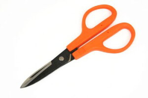 v؂nT~iLj U[NtgH U[Ntgޗ nhCh v