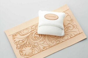 J[rOEGCg / U[NtgH U[Ntgޗ nhChޗ v ō