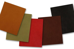 U[Tv Ȗ؃sAmU[ S10FZbg