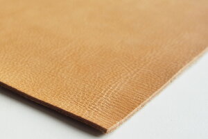 JbgU[A]iEEii`ENXgj 30cm × 30cm H 0.8 mm`1.7 mm 1 / U[Ntg v v ؂v F i` n nhCh 