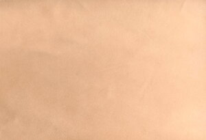 JbgU[ OUTLET i` IɃV  kv \ 20cm × 30cm (A4TCY) Hς 1.3mm 1 / ؂v v n nhCh  ؂蔄 AEgb