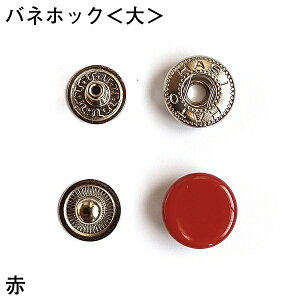 ܂ƂߔolzbN偄No.5 (500R)    U[Ntg Ntg nhCh | p[c   {^ ubN uE bh