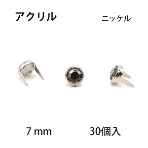 ANX|bcEjbPgi7mmj 30 / X^bY U[Ntgޗ nhChޗ | v