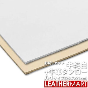 yZbgz{v^[ A4TCY(29.7x21cm) e1 v2ZbgylR|XΉz{ v {v ^jȂ߂ U[}[g v   zCg VR n i` U