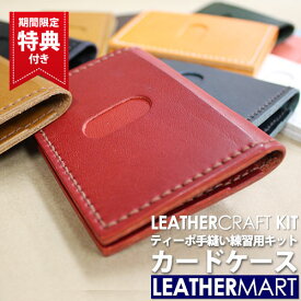 レザークラフトキット ティーポ カードケース(全12色)【ネコポス対応】 ｜ 日本製 初心者 簡単 工具不要 レザー レザークラフト 赤 本革 タンニン鞣し カラフル 牛革 ヌメ革 ハンドメイド クラフト 手縫い ギフト プレゼント カード クリスマス