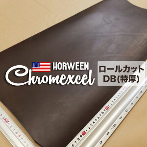 �y���[���zChromexcel(�N�����G�N�Z��) �y�����zDB(�Œ�) (�A���v �A�����J���U�[)
