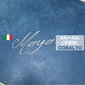 y(唻)s`z}FMaya(̃vGu)COBALTO(قvE؂vEJbgU[)