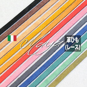 yvЂzMaya(}V_[) IL Ponte(vRE[X)3{