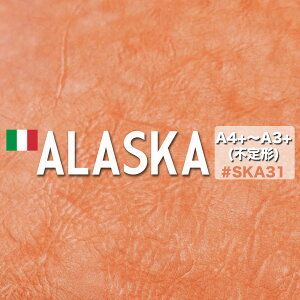 y(唻)s`zAXJ SKA31IW La Perla Azzurra(قvE؂vEJbgU[)