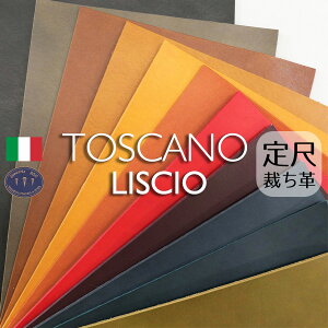 yځzgXJ[mXVI Conceria800(قvE؂vEJbgU[)