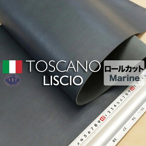 y[zToscano Liscio(gXJ[mXVI)Marine()(Av C^AU[)