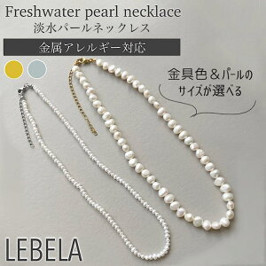 y2025.1`ǔŁz Wp[ lbNX obNp[ XeX 316L AM[Ή xr[p[  Vo[ S[h 40cm 45cm Vv   w Ǝ p[ 