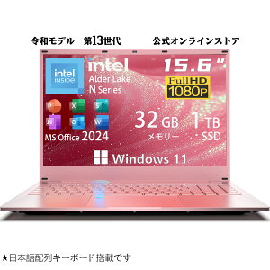 yPő15{ҌzWin11 Vim[gp\R Office2024tb15.6^tE\CPU intel N95b16GB{SSD512GB`bwF؁E10L[EWebJbݒρE{L[{[hځbS