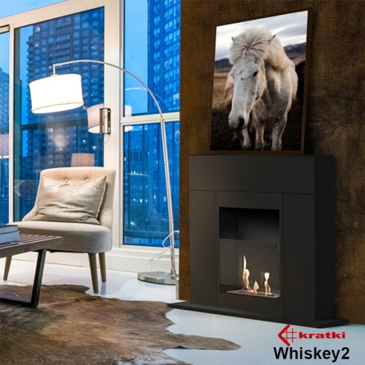 楽天市場】WHISKEY2 ウィスキー2 ヨーロッパ製【組立済】バイオ 