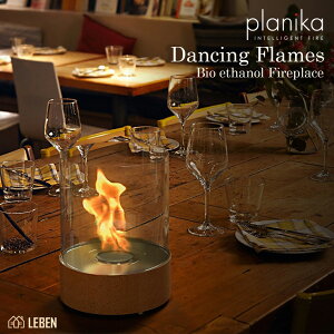 DANCINGFLAMES_VOtCX [bp oCIG^m[gFEPLANIKA vjJ ChA AEghAp S݌v RN\{fB  Vzj JXj g[ gF D