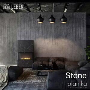 Stone [bp oCIG^m[gFEPLANIKA vjJ@@ChAp|S݌vbg[b gFb DoȂ̂ŉ˕sv2Nۏ؁iDAZE@@LAURENT2FWJj
