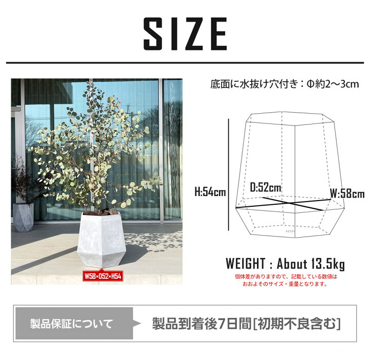 鉢（円錐型・大サイズ）