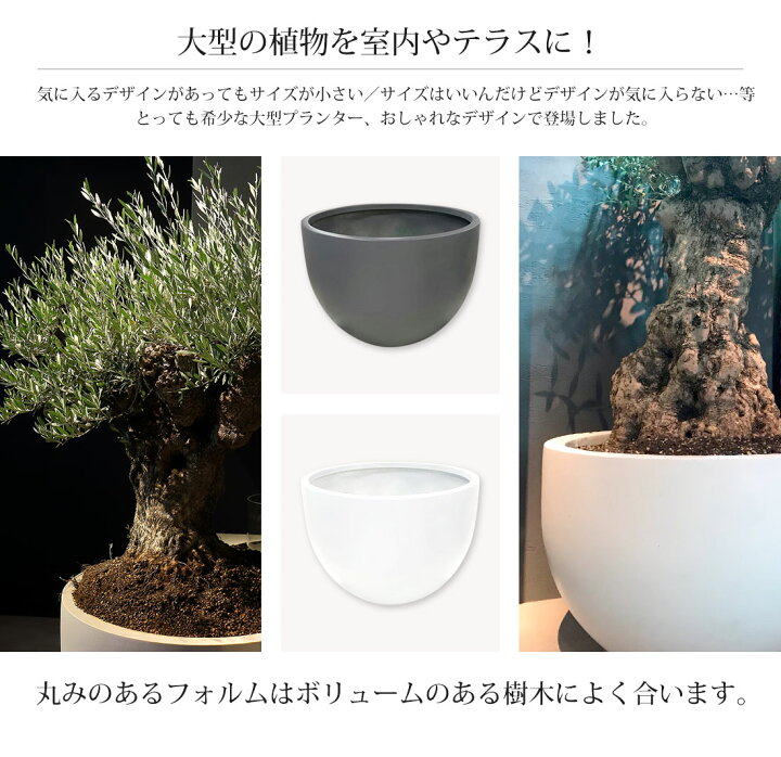 鉢（円錐型・大サイズ）