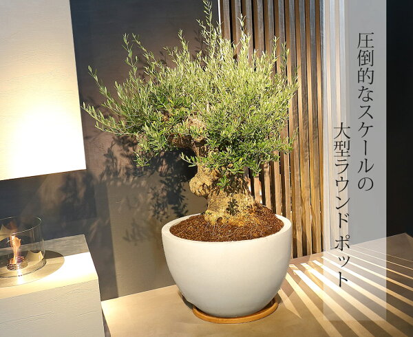 楽天市場 プランター 大型 ラウンド グレー ホワイト F H52 ポット プランター プランターボックス 大型 おしゃれ 大鉢 モダン 鉢植え プラスチック 陶器 園芸 植木鉢 丸型 庭 寄せ植え 花 ガーデン Diy ガーデニング プランター リーベン ヨーロッパの暮らし