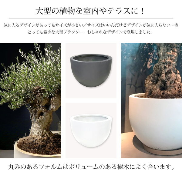 楽天市場 プランター 大型 ラウンド グレー ホワイト F H52 ポット プランター プランターボックス 大型 おしゃれ 大鉢 モダン 鉢植え プラスチック 陶器 園芸 植木鉢 丸型 庭 寄せ植え 花 ガーデン Diy ガーデニング プランター リーベン ヨーロッパの暮らし