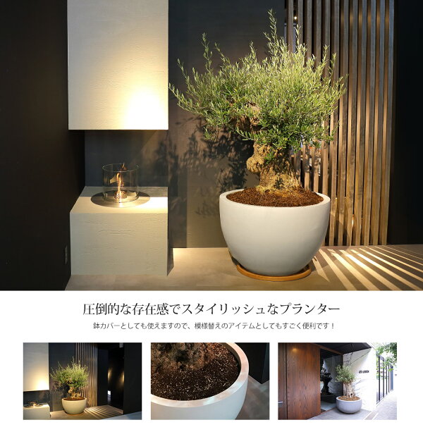 楽天市場 プランター 大型 ラウンド グレー ホワイト F H52 ポット プランター プランターボックス 大型 おしゃれ 大鉢 モダン 鉢植え プラスチック 陶器 園芸 植木鉢 丸型 庭 寄せ植え 花 ガーデン Diy ガーデニング プランター リーベン ヨーロッパの暮らし