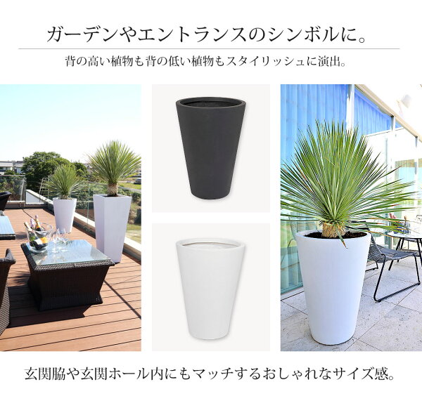楽天市場 ロングポット ラウンド プランター 大型 チャコールグレー ホワイト F50 H70 ポット プランター プランターボックス 大型 おしゃれ 深型 大鉢 長方形 モダン 鉢植え プラスチック 陶器 縦長 園芸 植木鉢 丸型 庭 花 ガーデン Diy ガーデニング プランター
