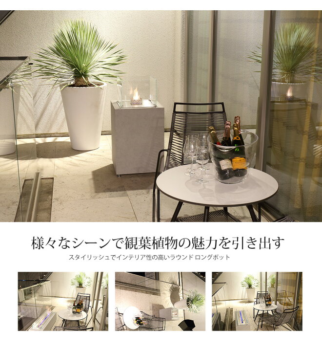 園芸 インテリア ポット E 代引き不可 花 KONTON ホテル 大型プランター ソーサー kol-n5c084 p49 84 オフィスビル 観葉植物用 L 1個入り レクト ネーデル