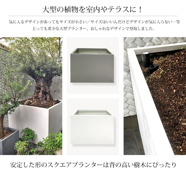 楽天市場 プランター 大型 スクエア グレー ホワイト W125 D125 H90 プランター プランターボックス 大型 おしゃれ 大鉢 モダン 鉢植え プラスチック 陶器 園芸 植木鉢 四角 庭 寄せ植え 花 ガーデン Diy ガーデニング プランター リーベン ヨーロッパの暮らし