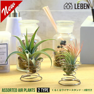 GAvc ܂ [2] +邭郏C[X^h [2] Zbg GA[vc GAvc ϗtA eBWA `WA@CeA a Mtg v lC[ap]