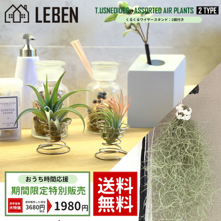 楽天市場】【予約】大特価【お買い物マラソン】☆期間限定販売 エア 