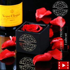 y1000~zȂ莟IIvU[uht[ v[g Mtg uROSE in CUBE 1 PREMIUM BOXvy bsOz  Ԃ a Mtg@CX^f Vzj a J