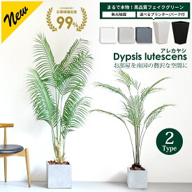 アレカヤシ 120cm 180cm 選べる2サイズ【 鉢 & バークチップ 付き】 無光触媒加工 フェイクグリーン ファイバークレイ プラスチック 大型 観葉植物 フェイク リアル 造花 インテリア 光触媒 アレカパーム[pl]