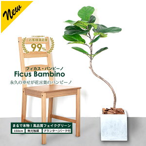 yubNtCf[10%OFFN[|IztBJXEor[m 150cm yt@Co[NC v^[ & o[N`bv tzyG}HρzJVoS tFCNO[ ^ ϗtA