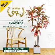 コルディリネ 150cm フェイクグリーン【ファイバークレイ製 プランター & バークチップ 付き】 コルジリ…
