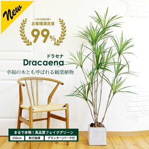 y20%OFFN[|IyVX[p[SALEzywTzhZi 150cm 12}yt@Co[NC v^[ & o[N`bv tzRVl K̖ G}H tFCNO[ 
