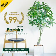 【5%OFFクーポン！お買い物マラソン】パキラ 150cm 【ファイバークレイ製 プランター & バークチップ 付…