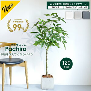 �y20����20%OFF�I�z�p�L�� �X�����^�C�v 120cm �y�t�@�C�o�[�N���C�� �v�����^�[ & �o�[�N�`�b�v �t���z�y�����G�}���H�ρz �t�F�C�N�O���[�� ��^ �ϗt�A�� �t�F�C�N ���A�� ���� �C���e���A 