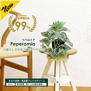 y5%OFFN[|IyVC[OXӍՁzyy~A 25cm G}H tFCNO[ ^ ϗtA tFCN A  CeA lHϗtA G} CTG} [pl]