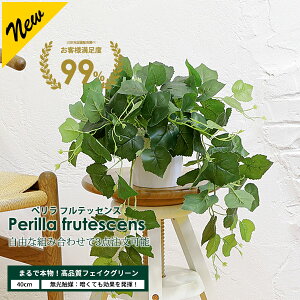 |gX[/] / ؃tebZX Iׂ3_Zbg 30cm G}H tFCNO[ ^ GS} ϗtA tFCN A  CeA lHϗtA G} CTG