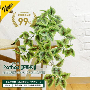 |gX[/] / ؃tebZX Iׂ3_Zbg 30cm G}H tFCNO[ ^ GS} ϗtA tFCN A  CeA lHϗtA G} CTG