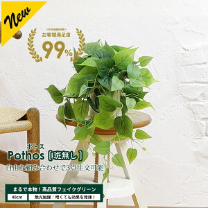 y5%OFFN[|IyVC[OXӍՁz|gX[/] / ؃tebZX Iׂ3_Zbg 30cm G}H tFCNO[ ^ GS} ϗtA tFCN A 