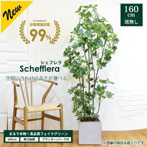 VFt 40cm 120cm 140cm 160cm Iׂ4TCYyt@Co[NC v^[ & o[N`bv tzyG}Hρz tFCNO[ htJmL ^ ^ ϗtA A  