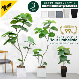 フィカス・ウンベラータ 70cm 160cm 180cm 選べる3サイズ【鉢 & バークチップ 付き】 無光触媒 ファイバークレイ プラスチック鉢 フェイクグリーン 大型 観葉植物 フェイク リアル 造花 インテリア 光触媒[pl]